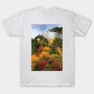 Deer Leap / Sherburne Pass, Vermont T-Shirt